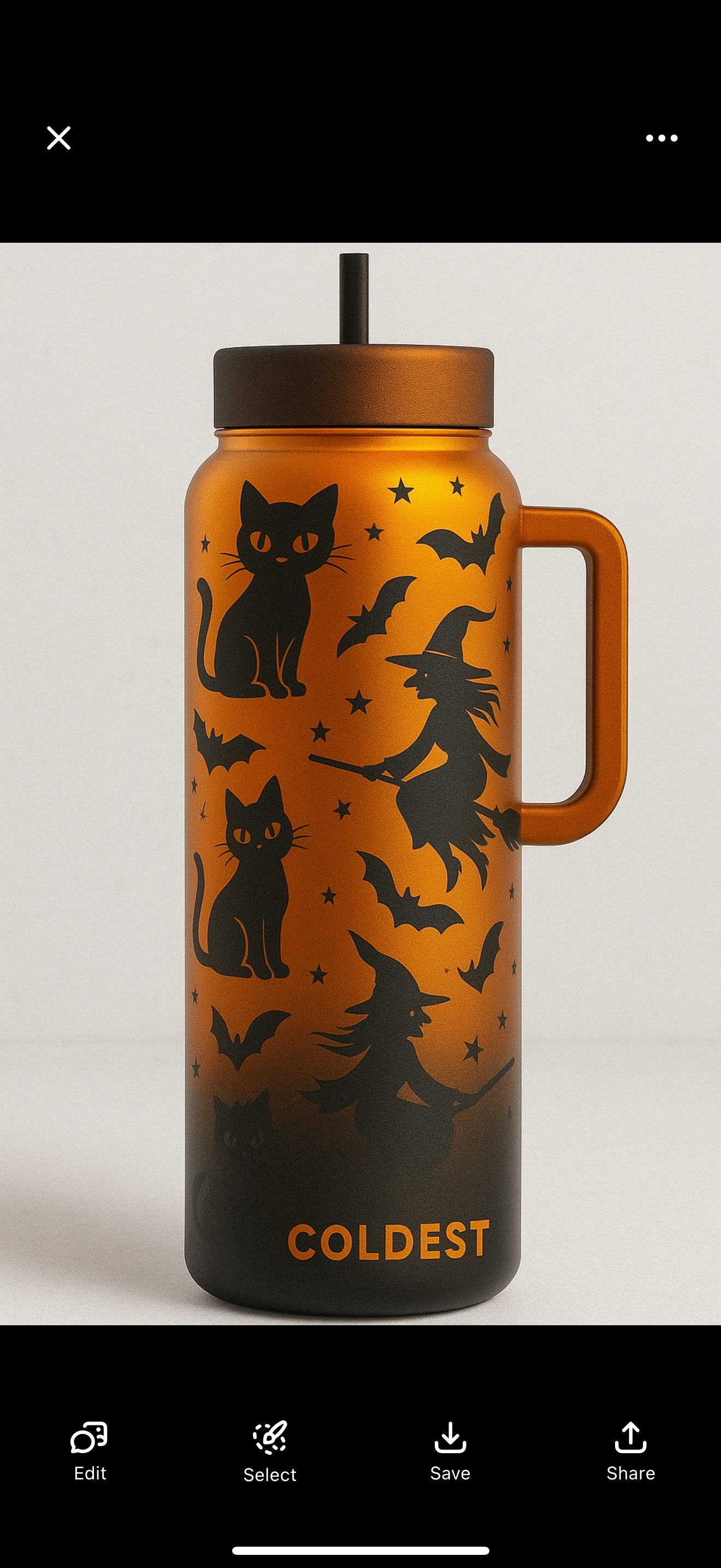 Black cats bats and witches 2 water bottle design