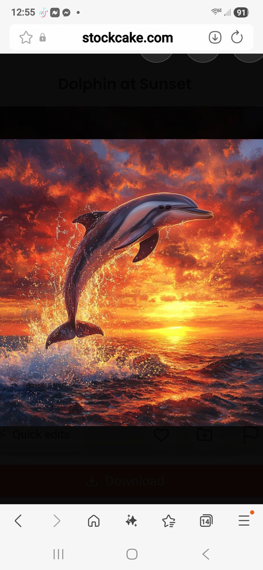 Dolphin Sunset water bottle design